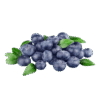 Arandanos Exquisitos & Frescos