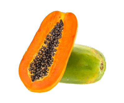Papaya gigante orgánica fresca
