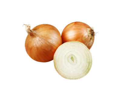 Cebolla Blanca