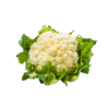 Coliflor