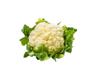 Coliflor